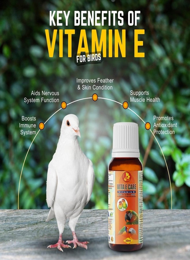 Sage Square Pet Care International Bird Stress Relief Combo - Vita A+, Vita E-Care, Electro Care (30ml) & Electro Care (100ml) - Eye & Feather Health, Immunity Boost, Stress Recovery & Support - Image 4